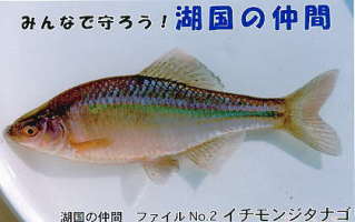 駆除大会の様子