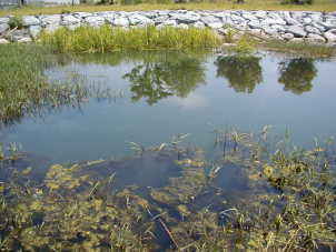 石積みの湖岸