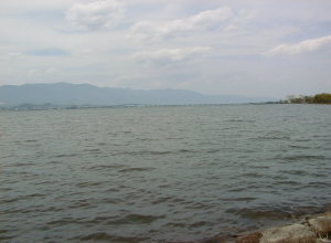 南湖・草津の釣り場
