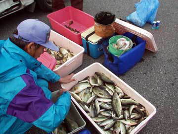 集計作業