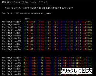 DNA塩基配列分析